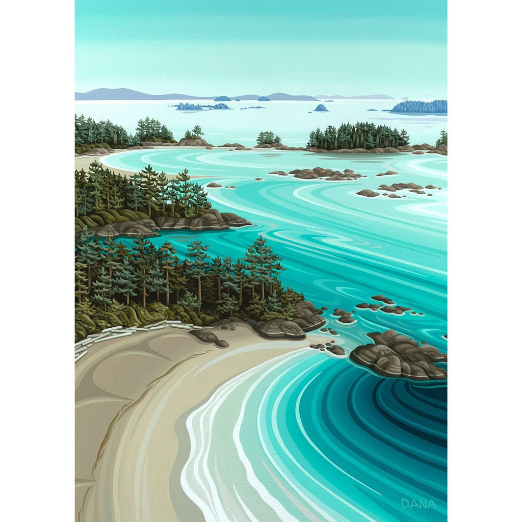 Soaring over Tofino 1000 pc