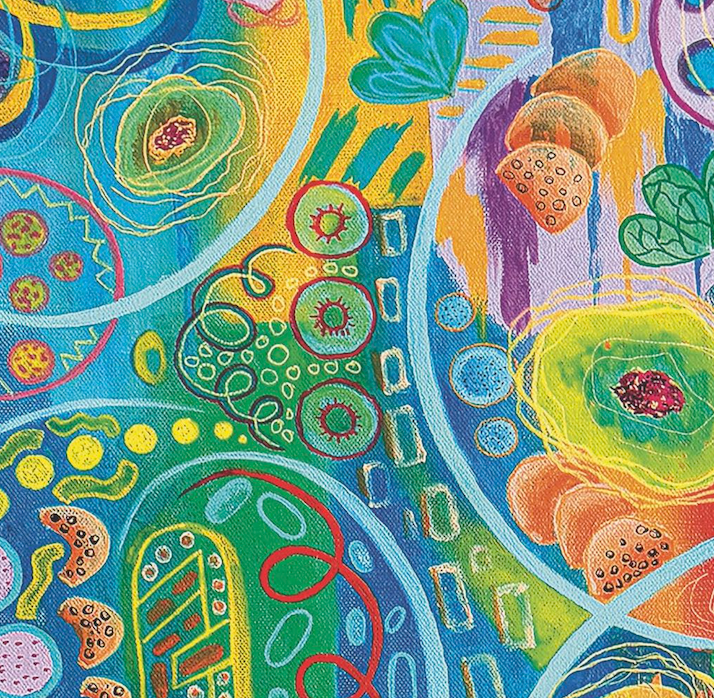 Nature Spirals 1000 pc Velvet-Touch