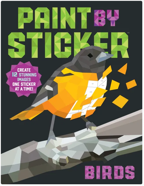 Paint By Sticker Birds 12+