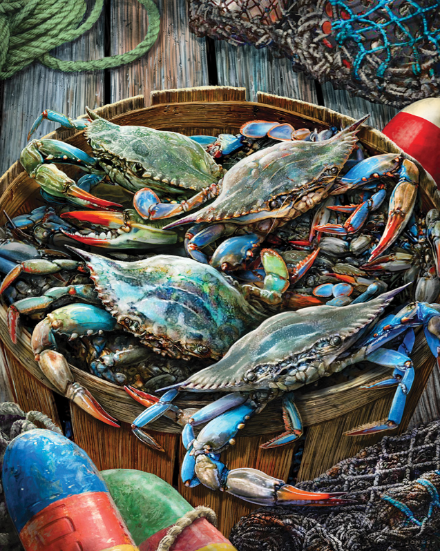 Catch Of The Day 1000 Pc