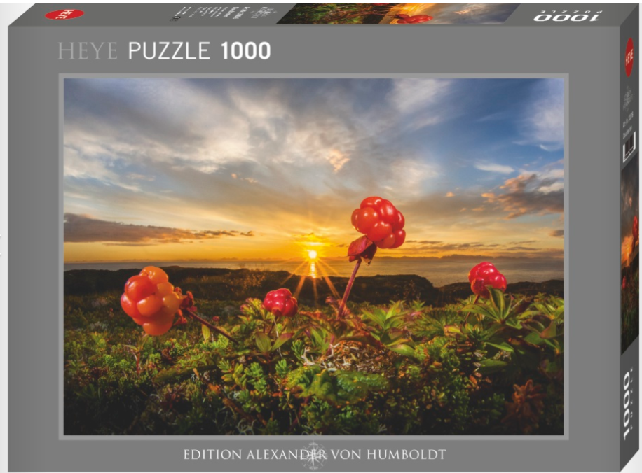Cloudberries 1000 Pc