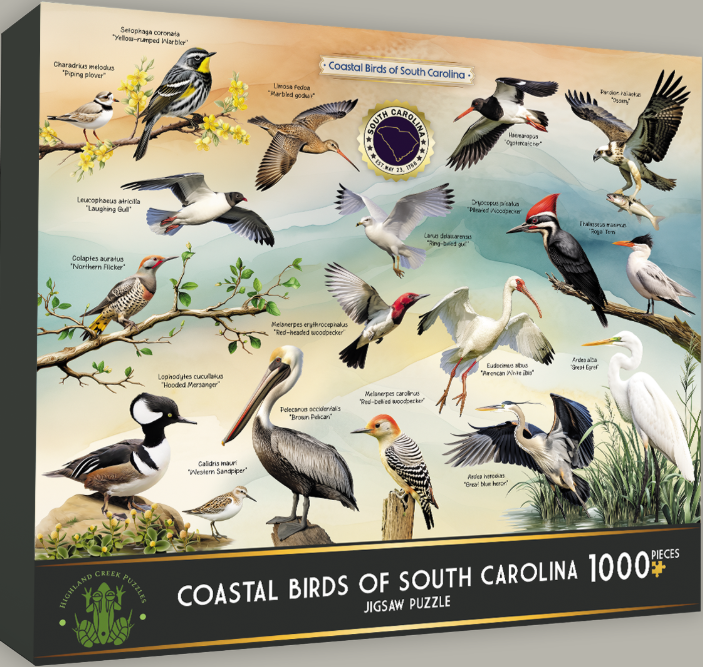 Coastal Birds of South Carolina 1000 pc