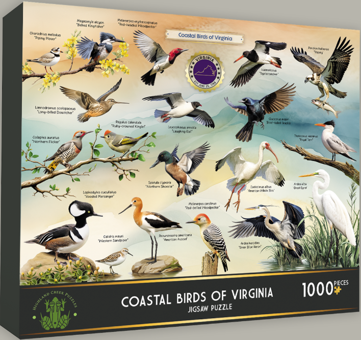 Coastal Birds of Virginia 1000 pc