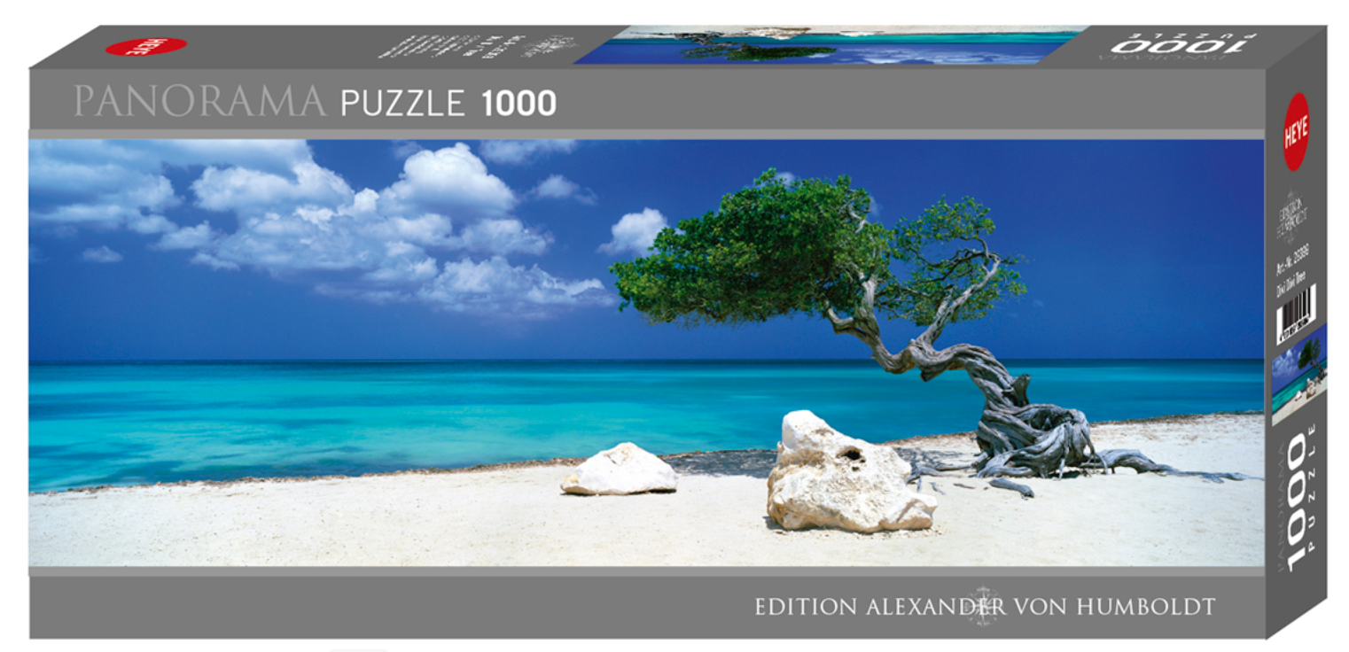 Divi Divi Tree 1000 Pc Pano