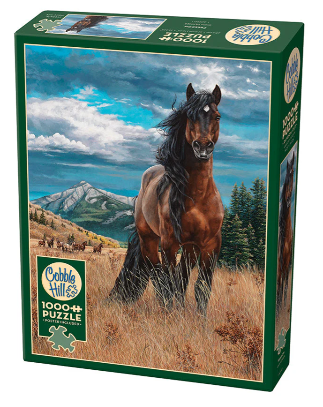 Freedom 1000 pc