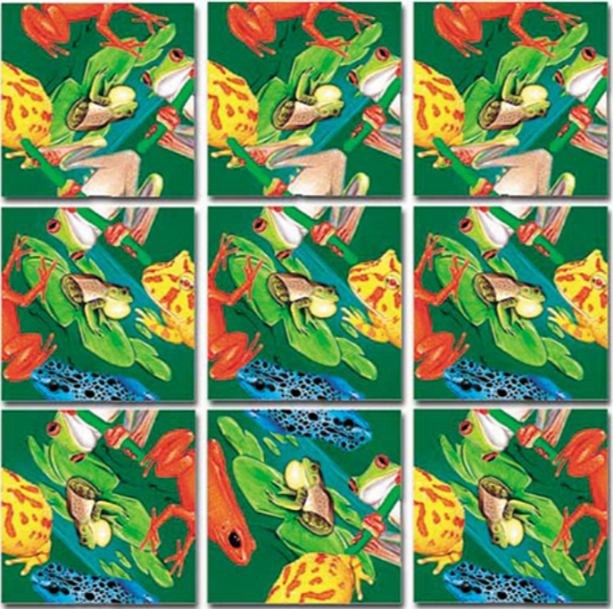 Frogs Scramble Squares 4+