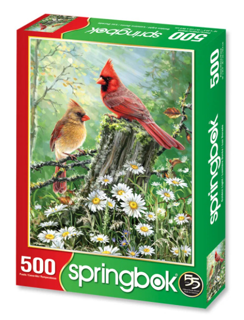 Golden Light 500 Pc