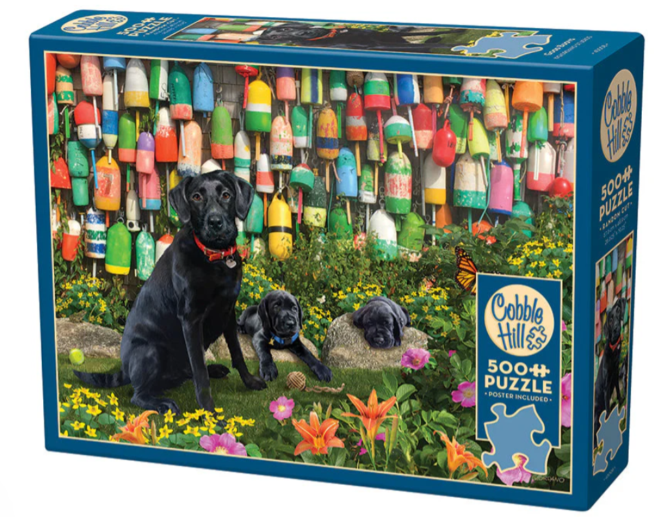 Good Buoys 500 Pc