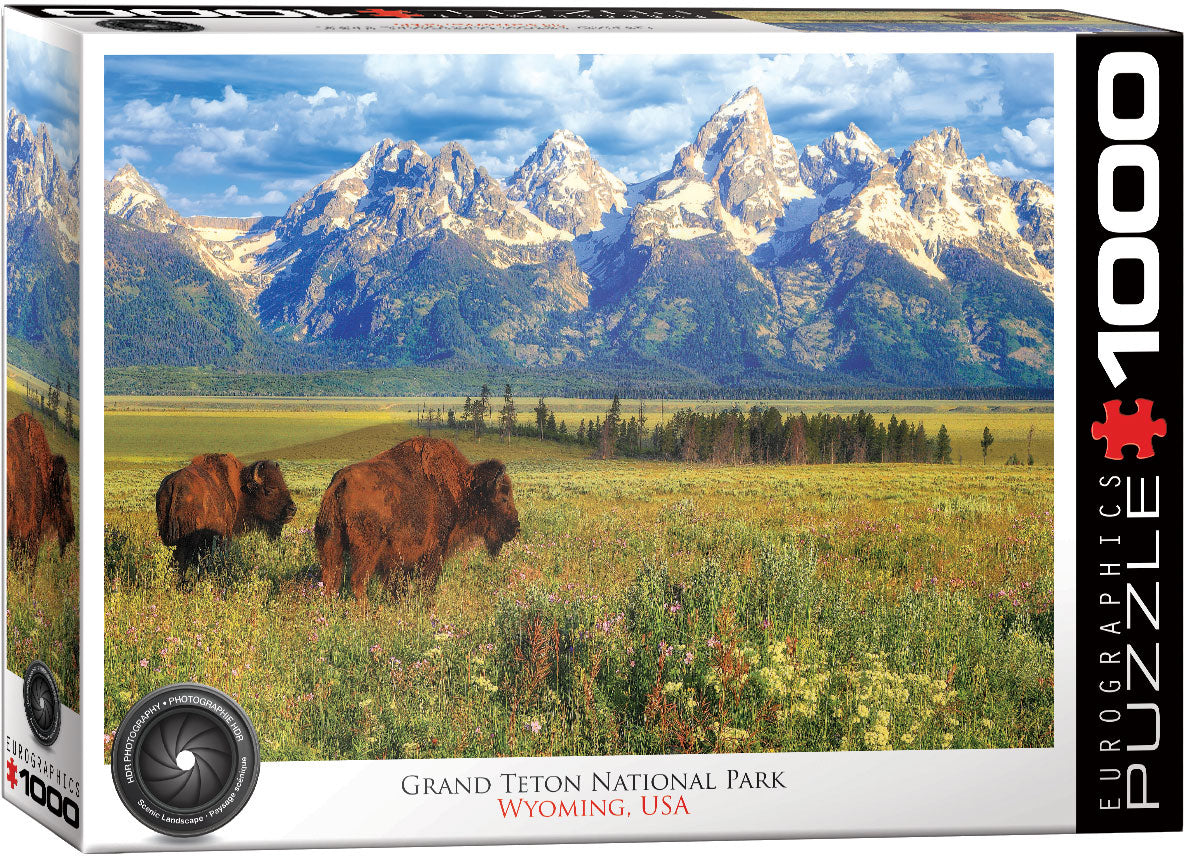 Grand Teton National Park 1000 pc