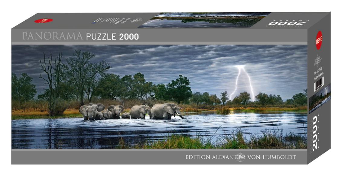 Herd Of Elephants 2000 Pc Pano