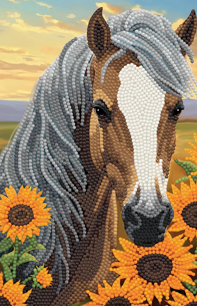Crystal Art Sunflower Horse Notebook Kit 8+