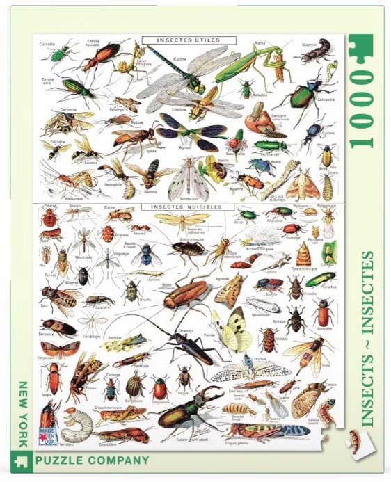 Insects 1000 Pc
