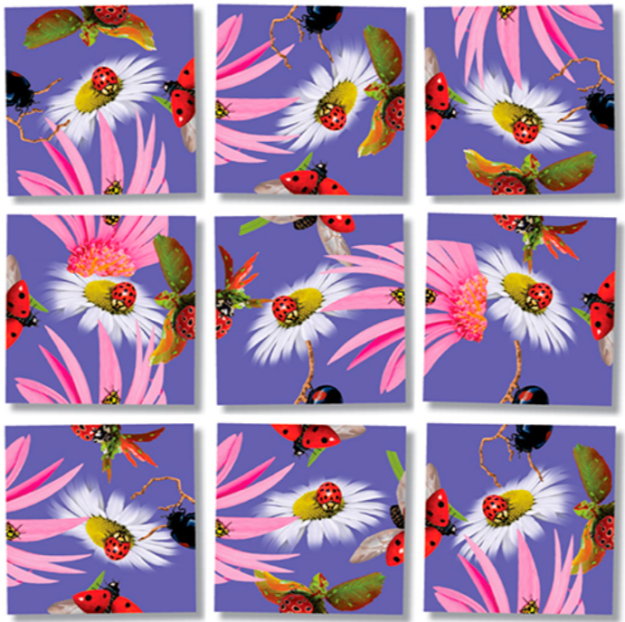 Ladybugs Scramble Squares 4+