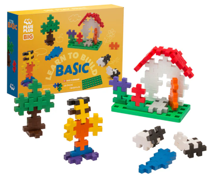 Learn to Build Big Basic Kit 60 pc 2+