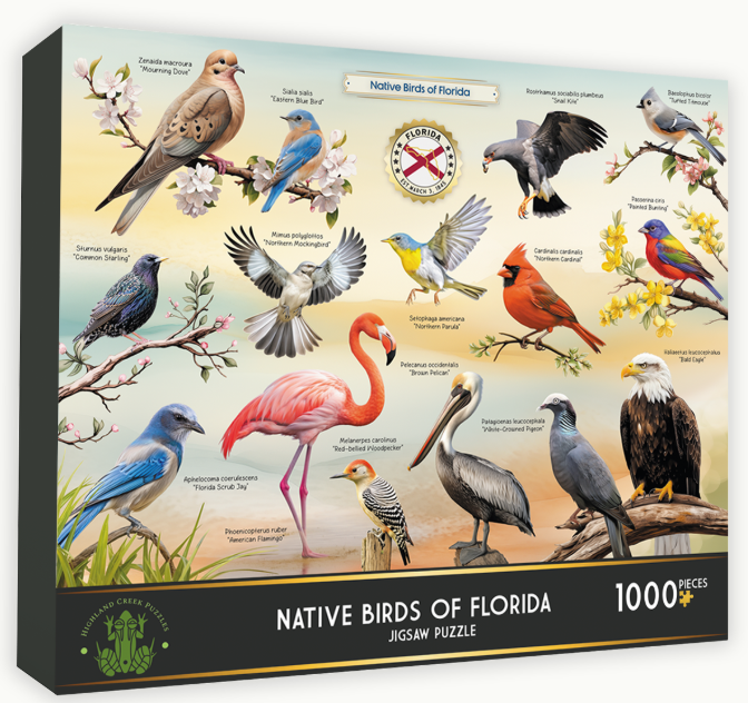 Native Birds of Florida 1000 pc