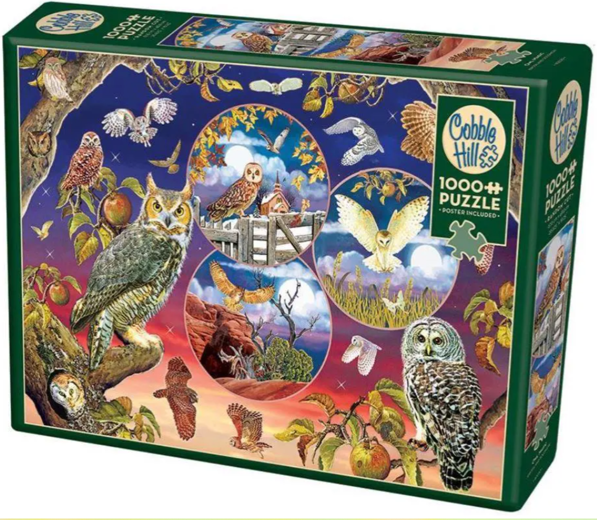 Owl Magic 1000 Pc
