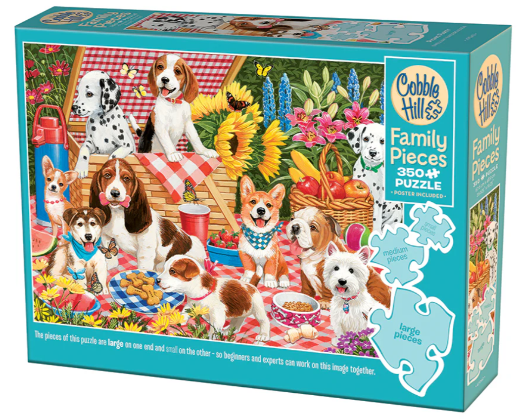Picnic Party 350 Pc