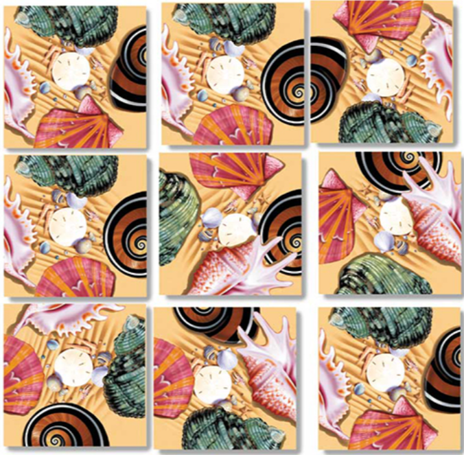Sea Shells Scramble Squares 4+