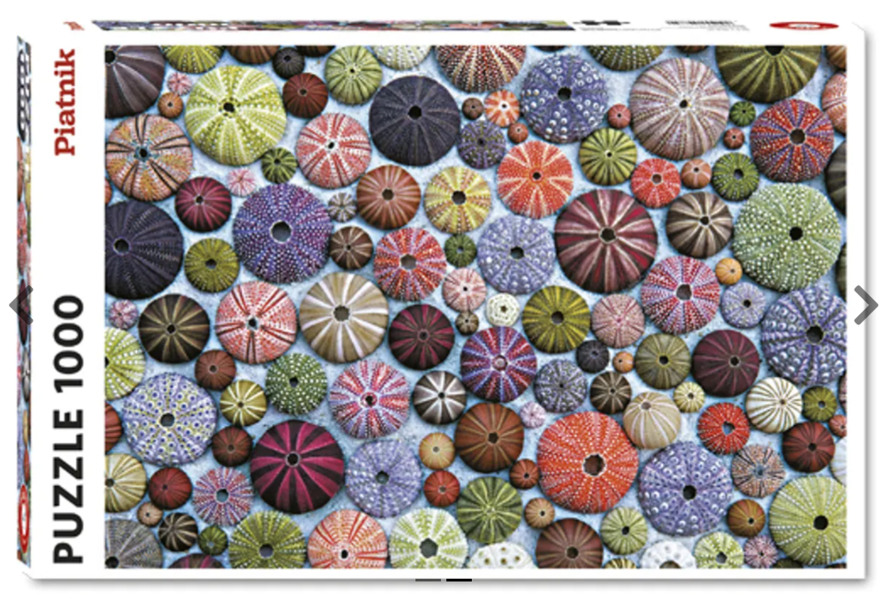 Sea Urchins 1000 Pc