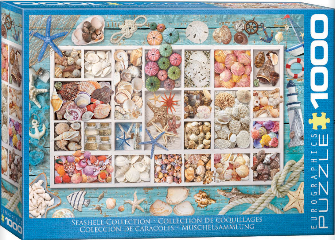 Seashell Collection 1000 pc