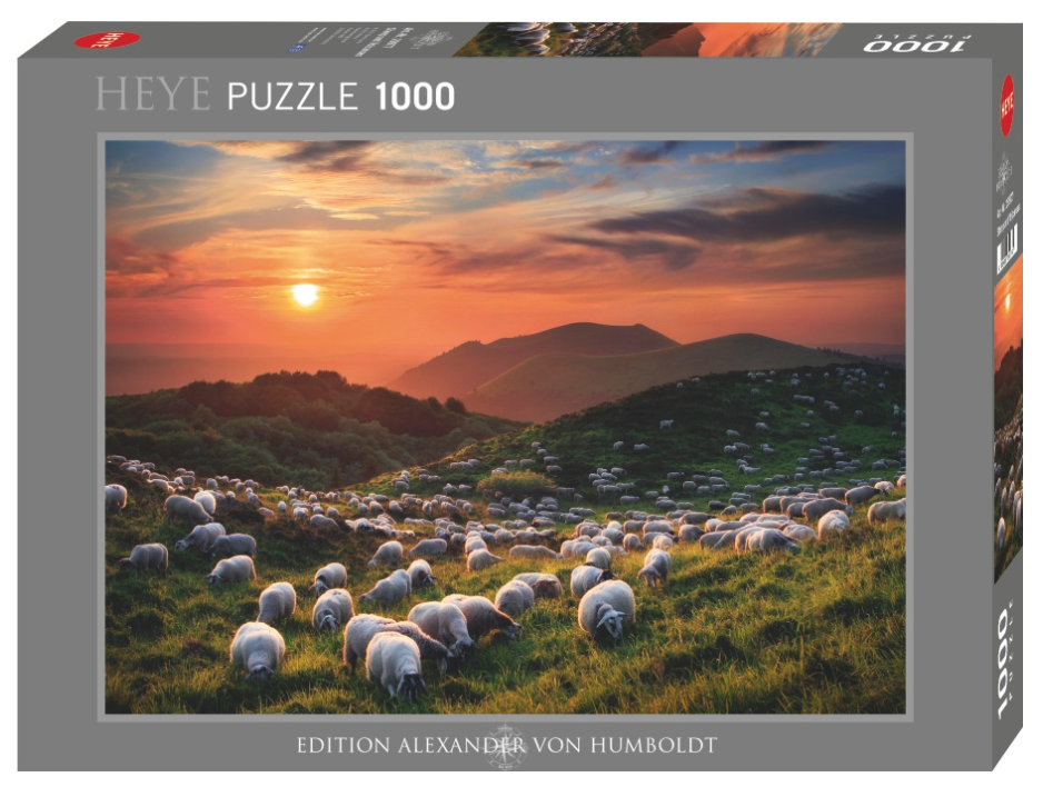 Sheep and Volcanoes 1000 Pc