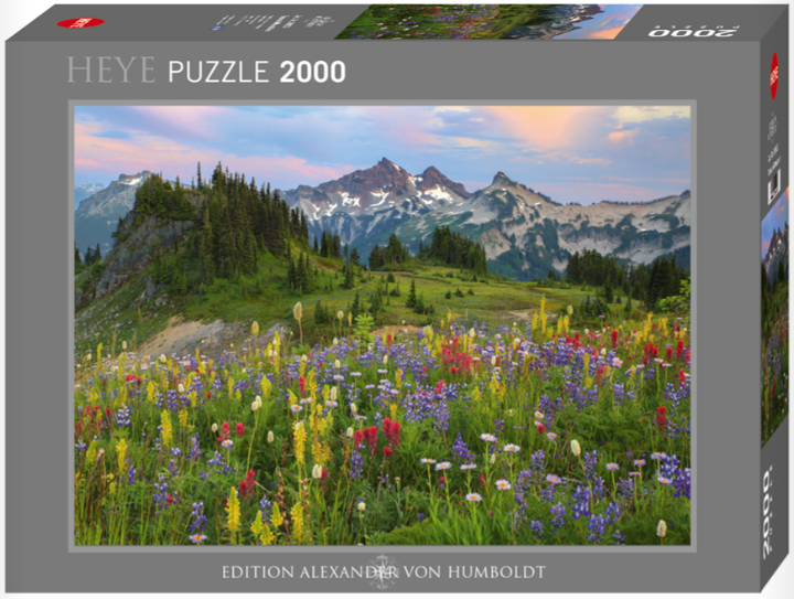 Tatoosh Mountains 2000 pc