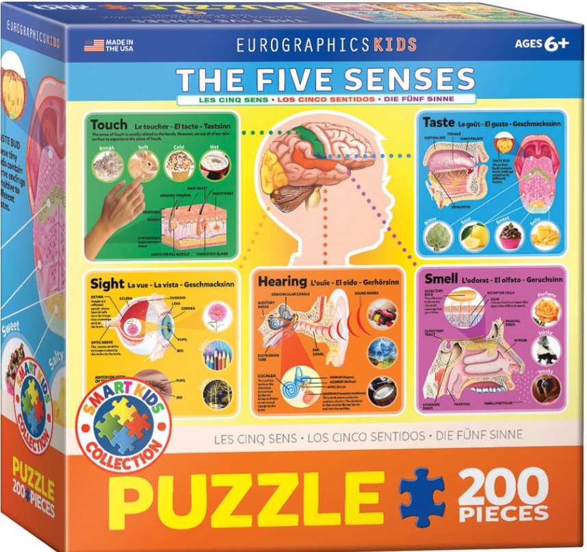 The Five Senses 200 Pc