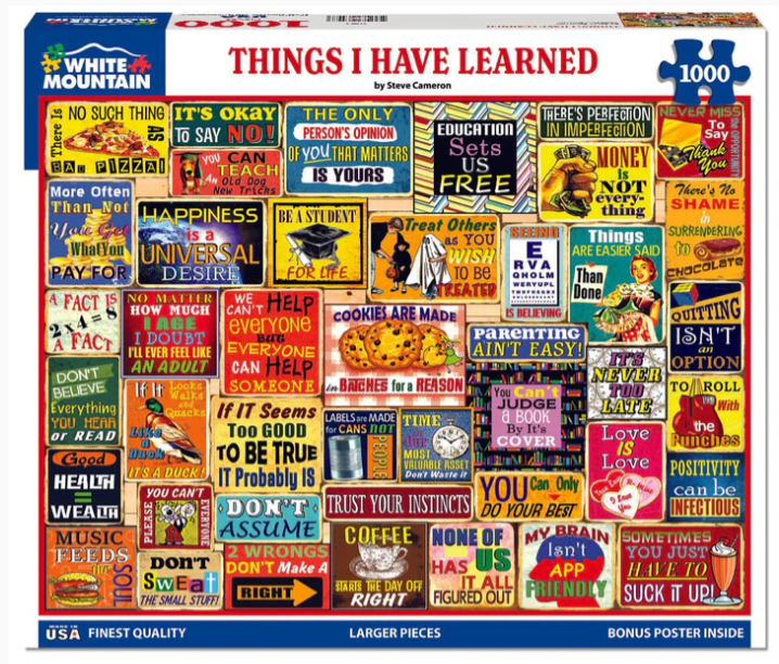 Things I Have Learned 1000 Pcs