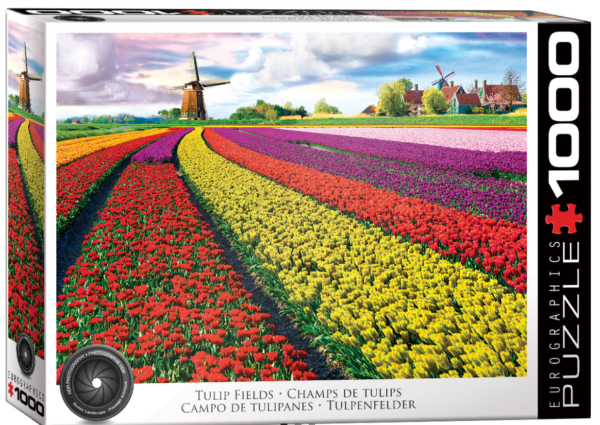 Tulip Fields 1000 Pc