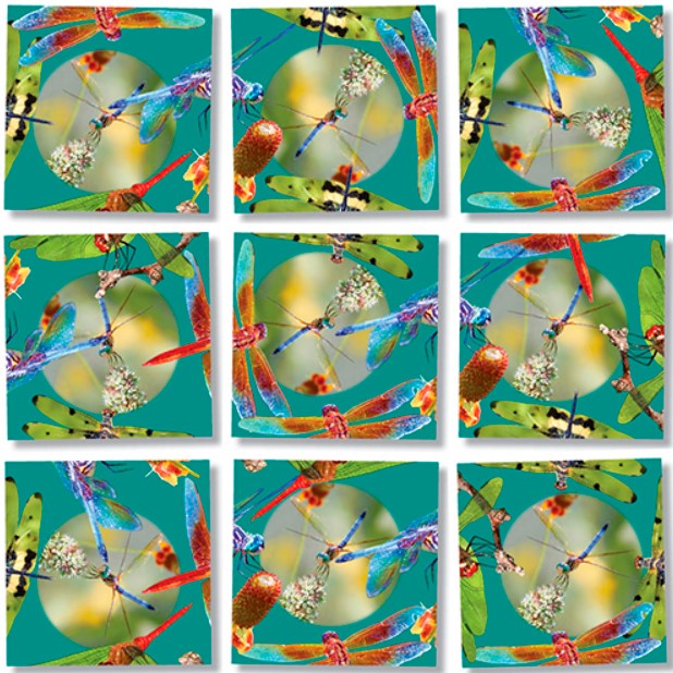 Dragon Flies Scramble Squares 4+