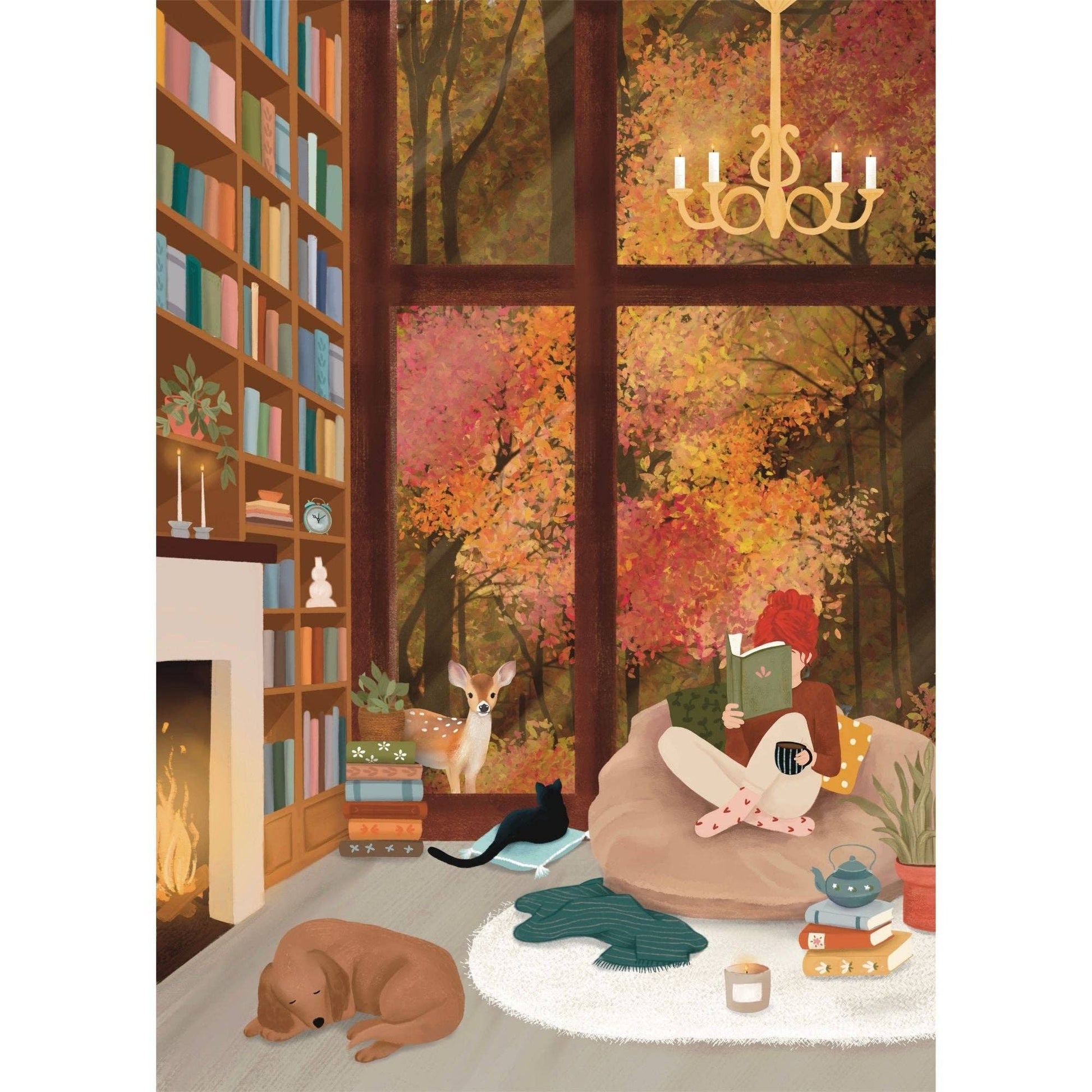 Dream Library 1000 pc