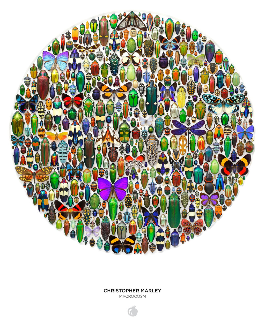 Christopher Marley: Macrocosm 500-Piece Circular Jigsaw Puzzle