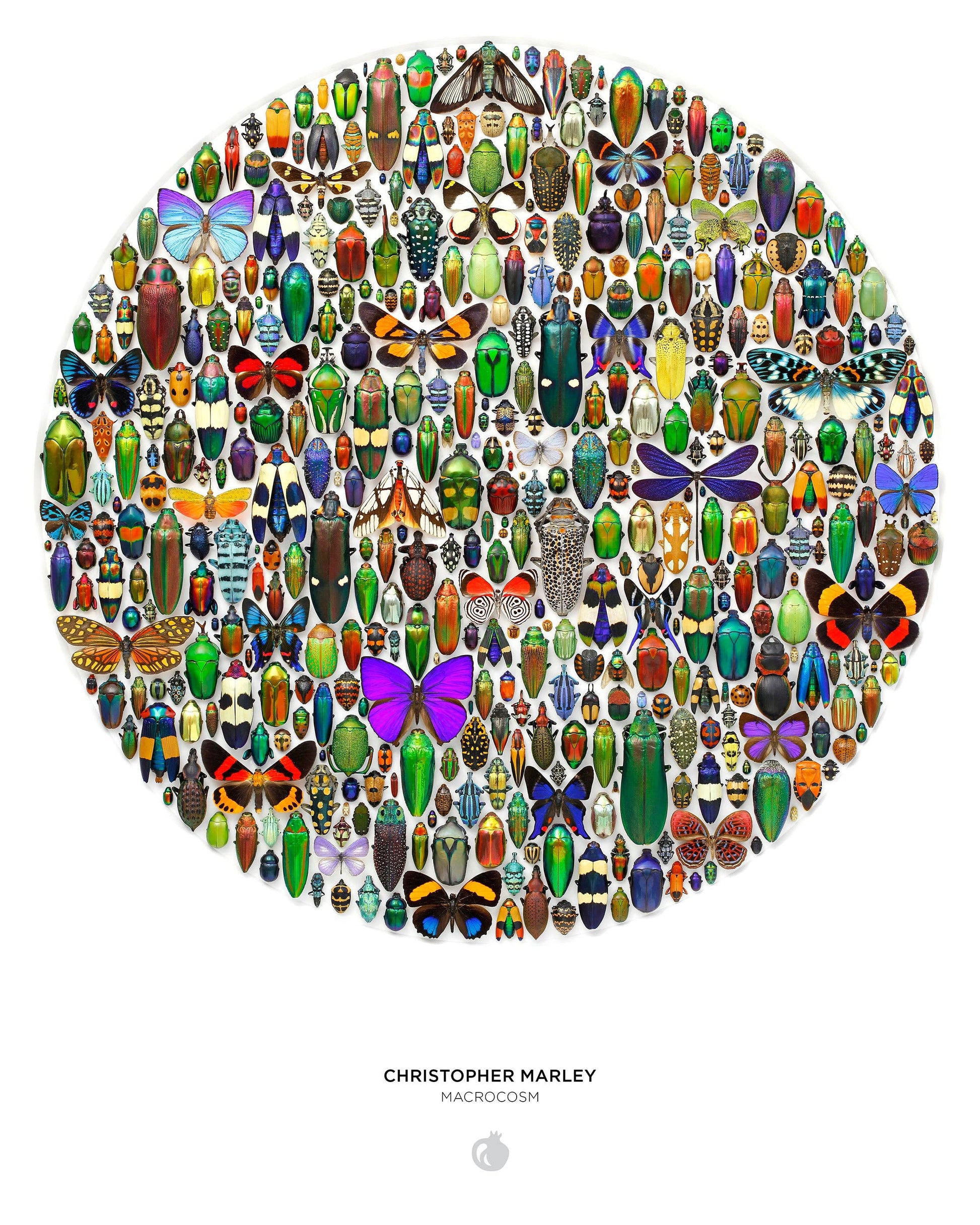 Christopher Marley: Macrocosm 500-Piece Circular Jigsaw Puzzle