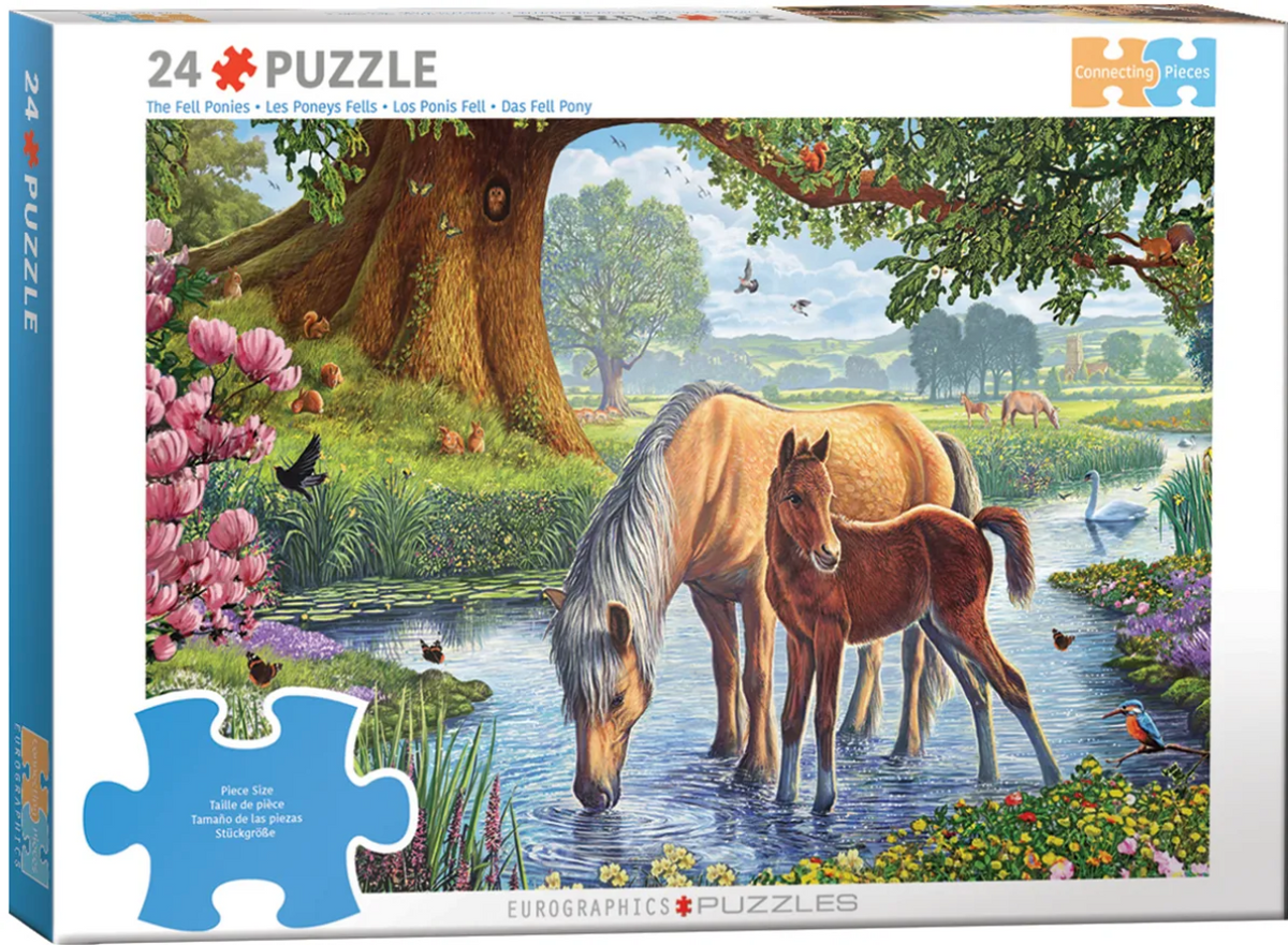 The Fell Ponies 24 pc Large