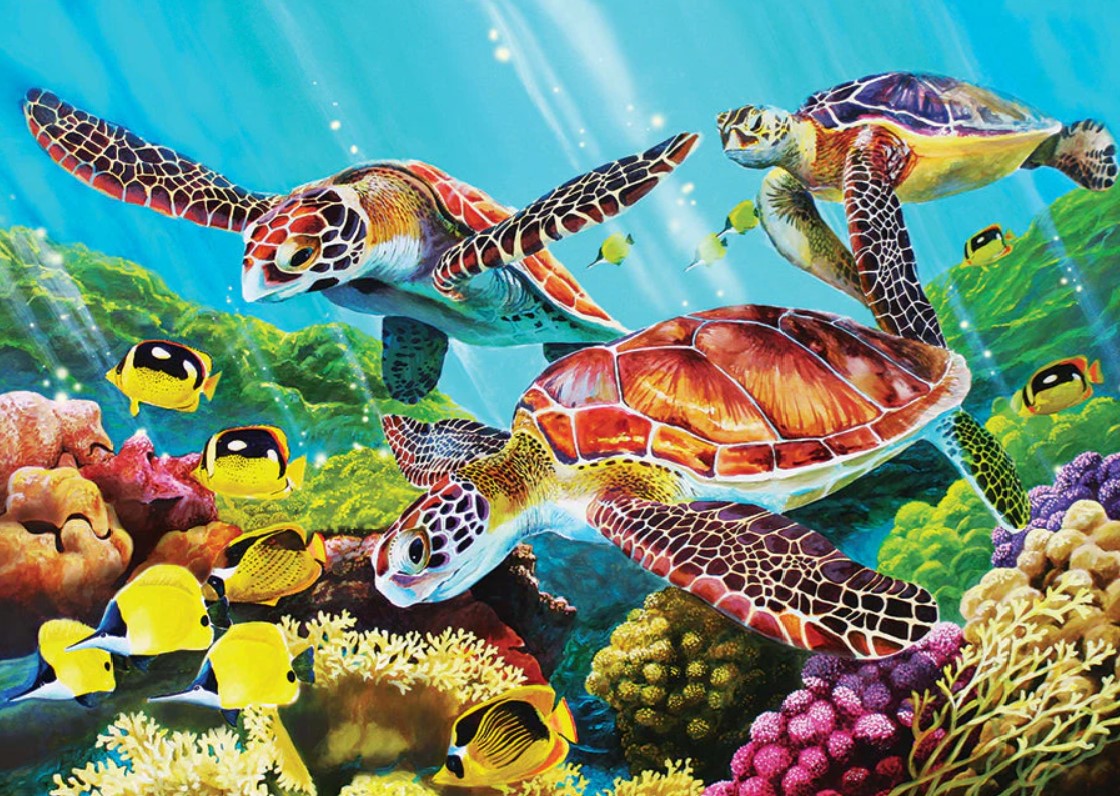 Molokini Current 350 Pc Family