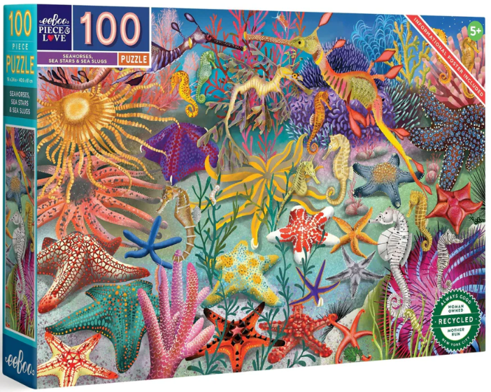Seahorses, Sea Stars & Sea Slug