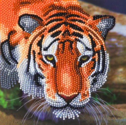 Regal Tiger Crystal Art Scroll Kit 8+